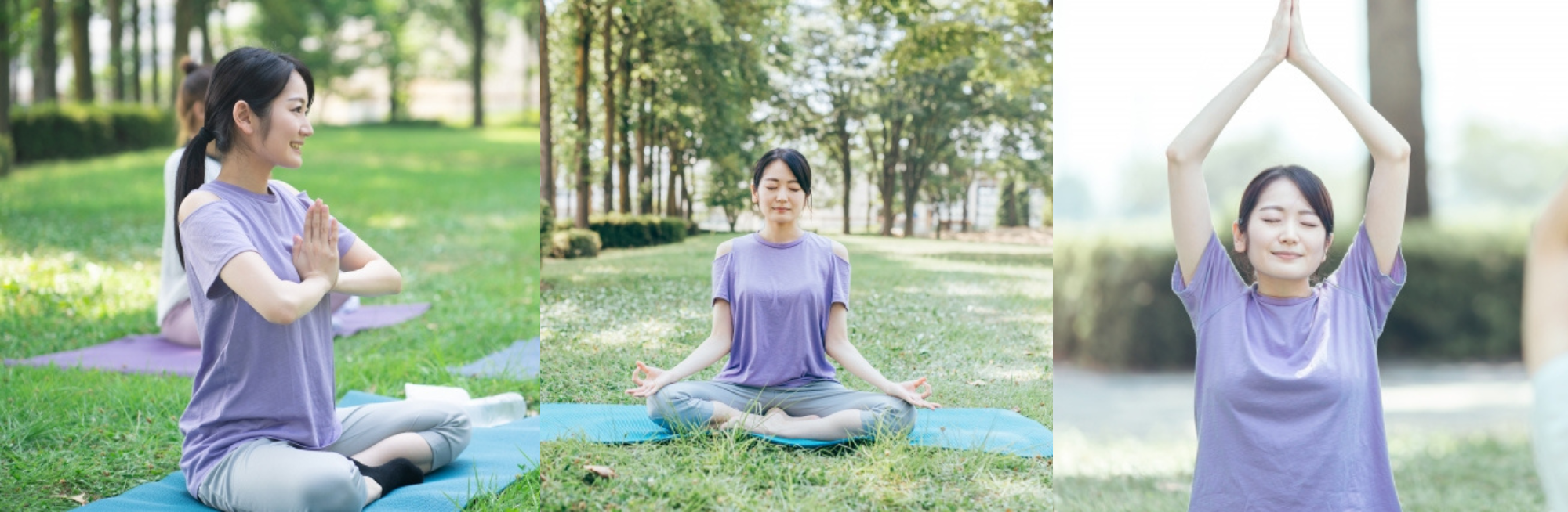 Phoenix-lc.について